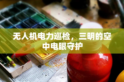 无人机电力巡检，三明的空中电眼守护