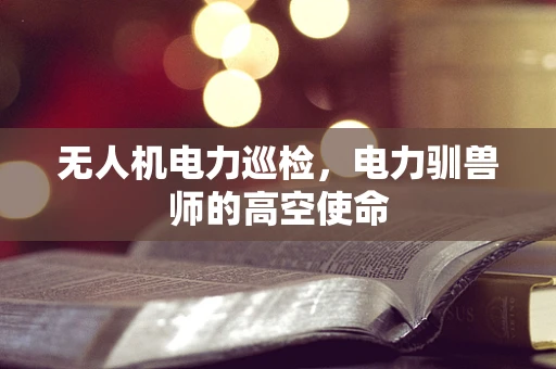 无人机电力巡检，电力驯兽师的高空使命