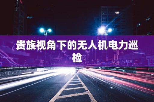贵族视角下的无人机电力巡检