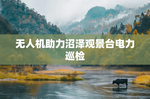 无人机助力沼泽观景台电力巡检