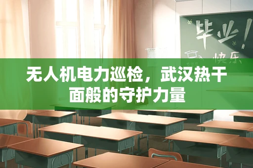 无人机电力巡检，武汉热干面般的守护力量