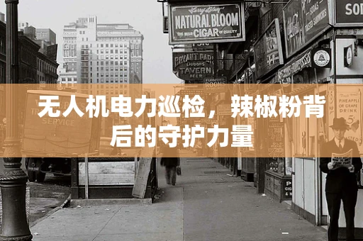 无人机电力巡检，辣椒粉背后的守护力量