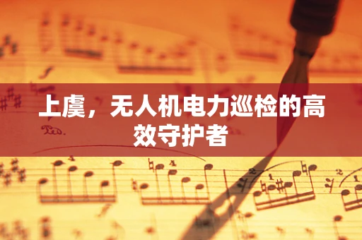 上虞，无人机电力巡检的高效守护者
