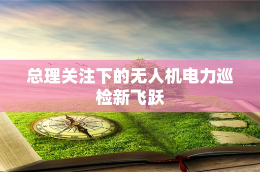 总理关注下的无人机电力巡检新飞跃