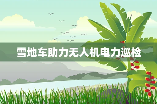 雪地车助力无人机电力巡检