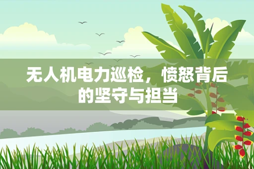 无人机电力巡检，愤怒背后的坚守与担当