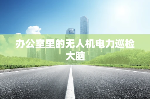 办公室里的无人机电力巡检大脑