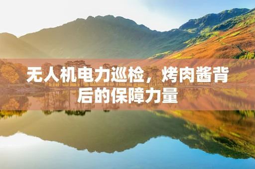 无人机电力巡检，烤肉酱背后的保障力量