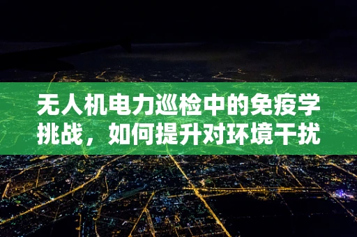 无人机电力巡检中的免疫学挑战，如何提升对环境干扰的抗性？