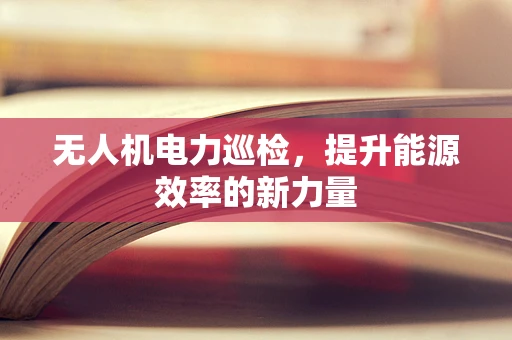 无人机电力巡检，提升能源效率的新力量