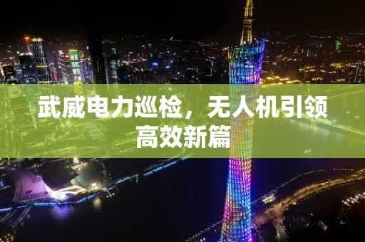 武威电力巡检，无人机引领高效新篇