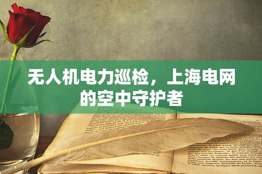 无人机电力巡检，上海电网的空中守护者