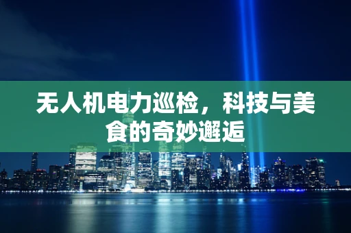 无人机电力巡检，科技与美食的奇妙邂逅