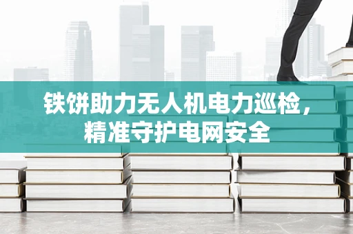 铁饼助力无人机电力巡检，精准守护电网安全