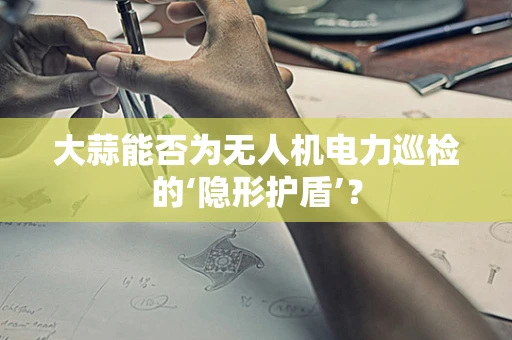 大蒜能否为无人机电力巡检的‘隐形护盾’？