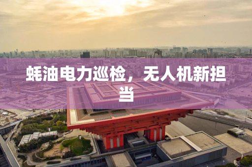 蚝油电力巡检，无人机新担当