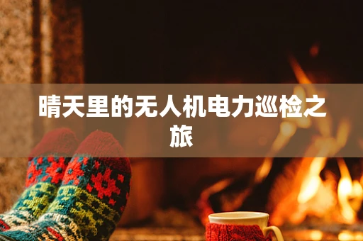 晴天里的无人机电力巡检之旅