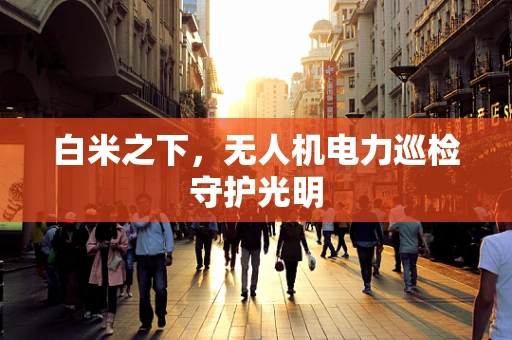 白米之下，无人机电力巡检守护光明