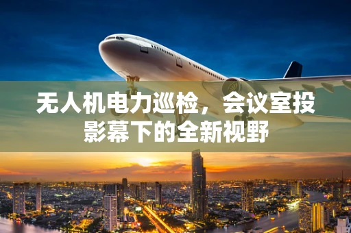 无人机电力巡检，会议室投影幕下的全新视野
