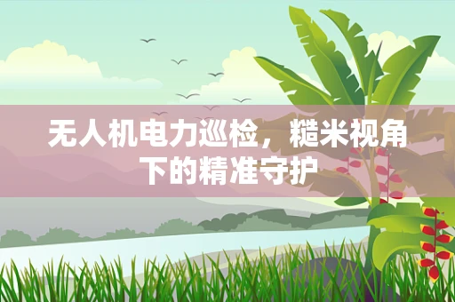 无人机电力巡检，糙米视角下的精准守护