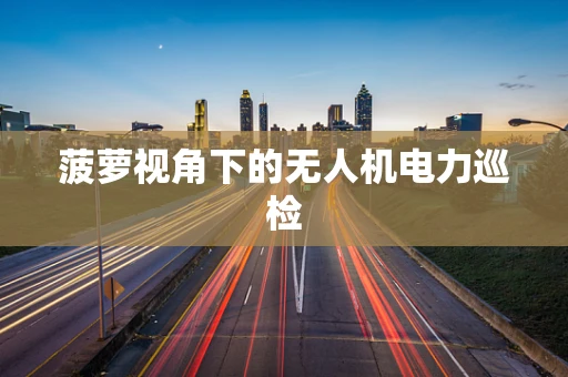 菠萝视角下的无人机电力巡检