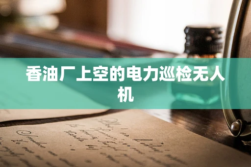 香油厂上空的电力巡检无人机