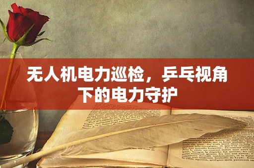 无人机电力巡检，乒乓视角下的电力守护
