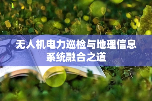无人机电力巡检与地理信息系统融合之道