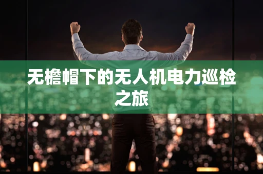 无檐帽下的无人机电力巡检之旅