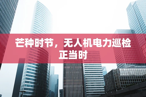 芒种时节，无人机电力巡检正当时