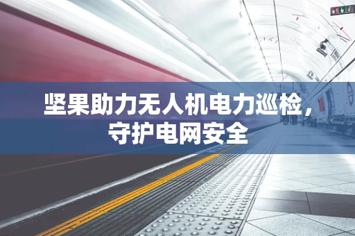 坚果助力无人机电力巡检，守护电网安全