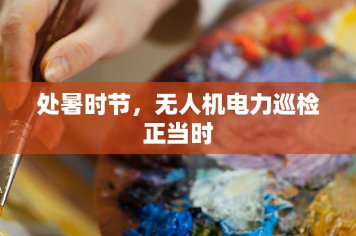 处暑时节，无人机电力巡检正当时