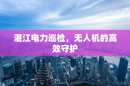 湛江电力巡检，无人机的高效守护
