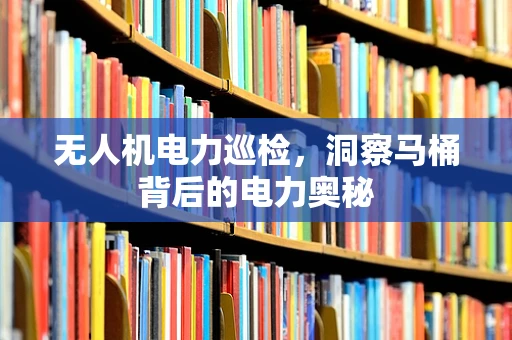 无人机电力巡检，洞察马桶背后的电力奥秘