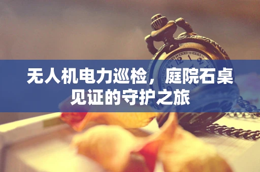 无人机电力巡检，庭院石桌见证的守护之旅