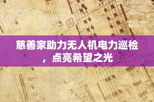 慈善家助力无人机电力巡检，点亮希望之光