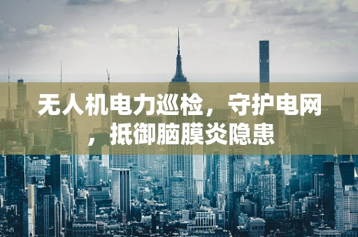 无人机电力巡检，守护电网，抵御脑膜炎隐患