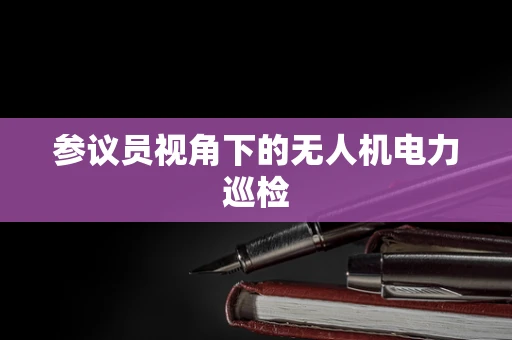 参议员视角下的无人机电力巡检