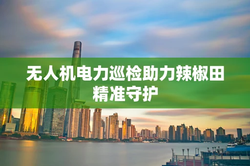 无人机电力巡检助力辣椒田精准守护