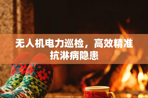 无人机电力巡检，高效精准抗淋病隐患