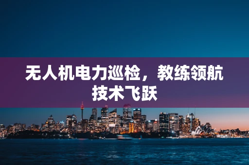 无人机电力巡检，教练领航技术飞跃