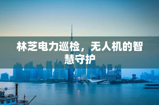 林芝电力巡检，无人机的智慧守护