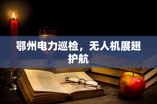 鄂州电力巡检，无人机展翅护航