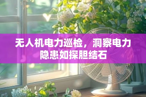 无人机电力巡检，洞察电力隐患如探胆结石