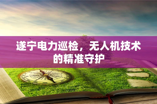 遂宁电力巡检，无人机技术的精准守护