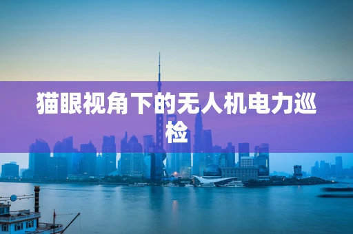 猫眼视角下的无人机电力巡检