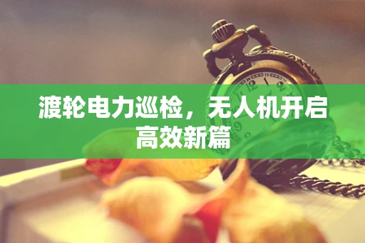 渡轮电力巡检，无人机开启高效新篇