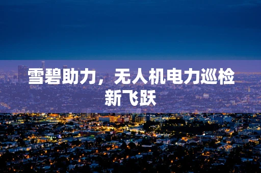 雪碧助力，无人机电力巡检新飞跃