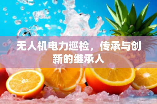 无人机电力巡检，传承与创新的继承人