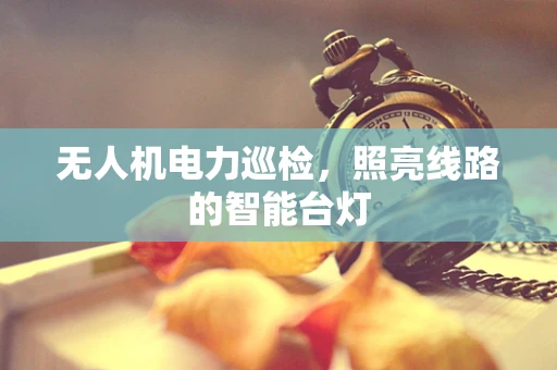 无人机电力巡检，照亮线路的智能台灯